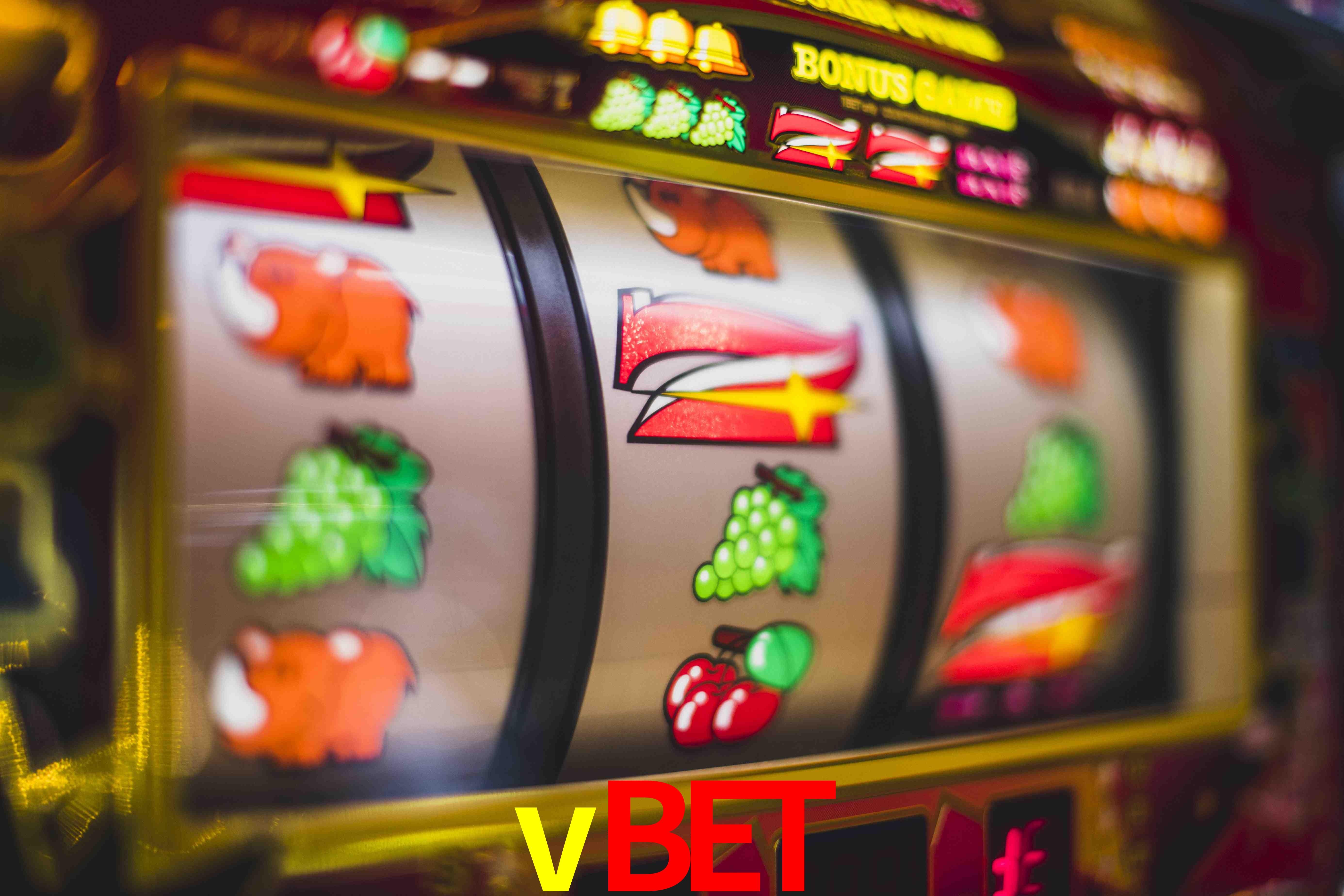Experiência VIP vbet